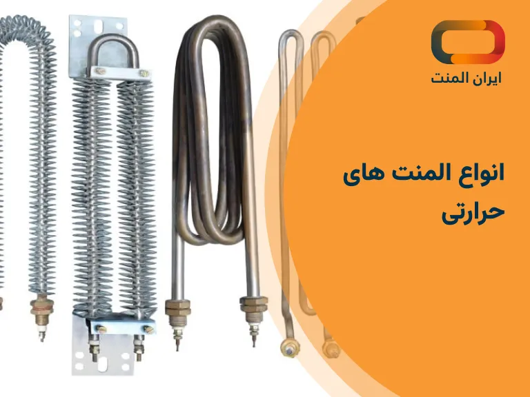 انواع المنت